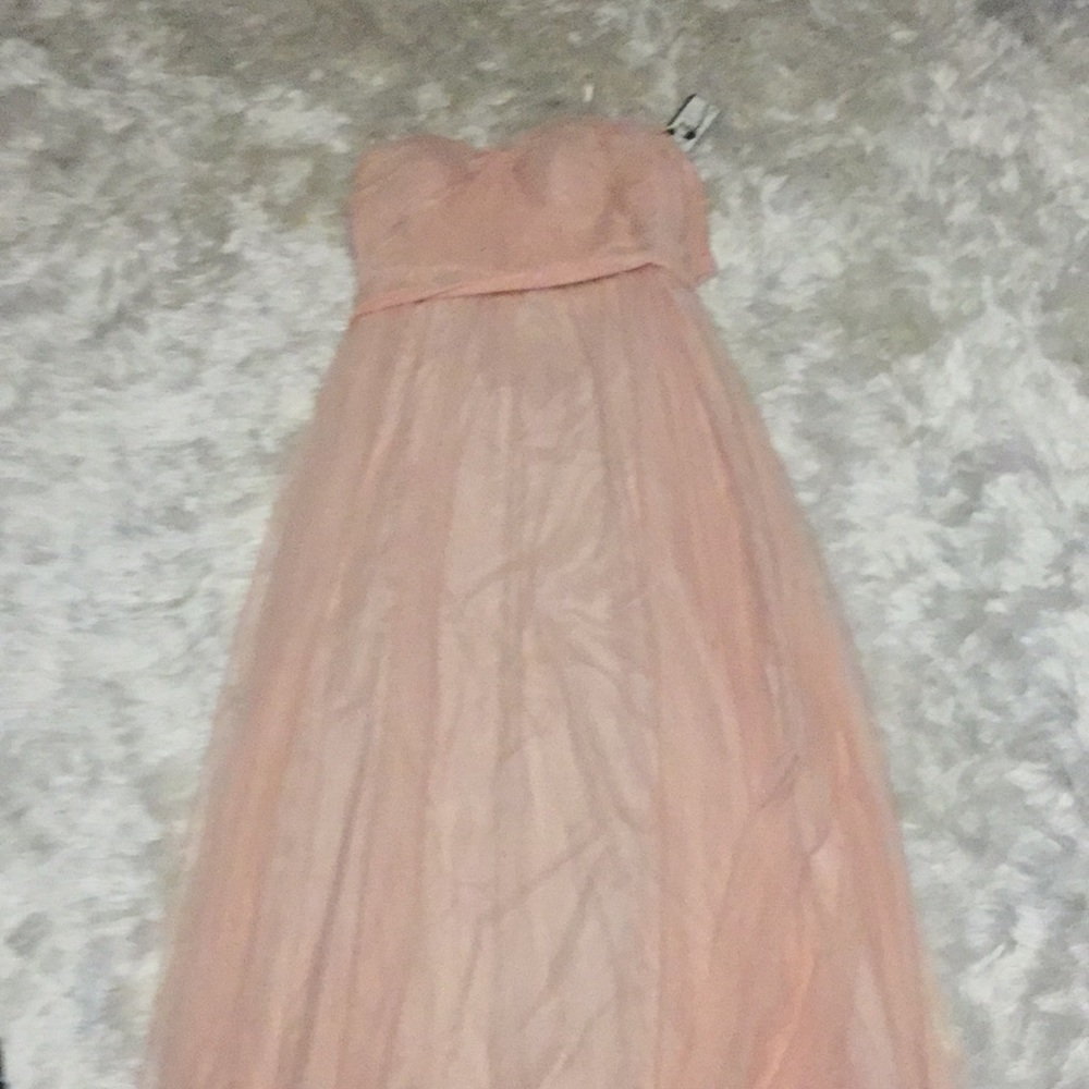 Blush Adrianna papell infinity dress